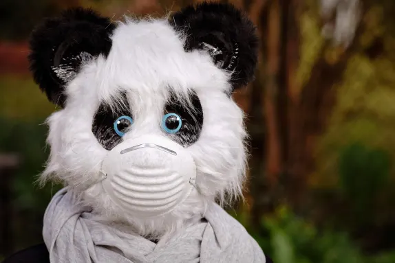 Kasino Volcano Bingo Sokongan